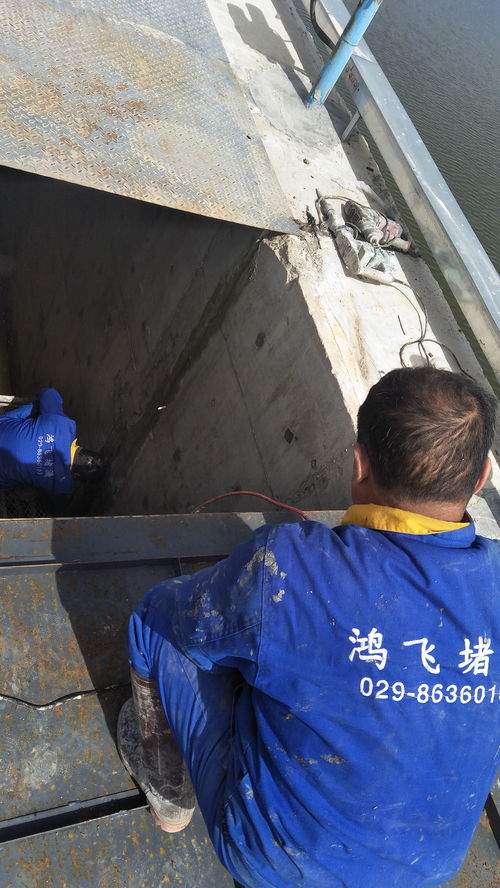 锦州与苏州防水堵漏市场概况 厂家选择与报价因素解析